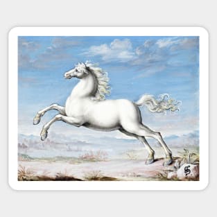 White horse (1552–1601)  by Joris Hoefnagel Sticker
